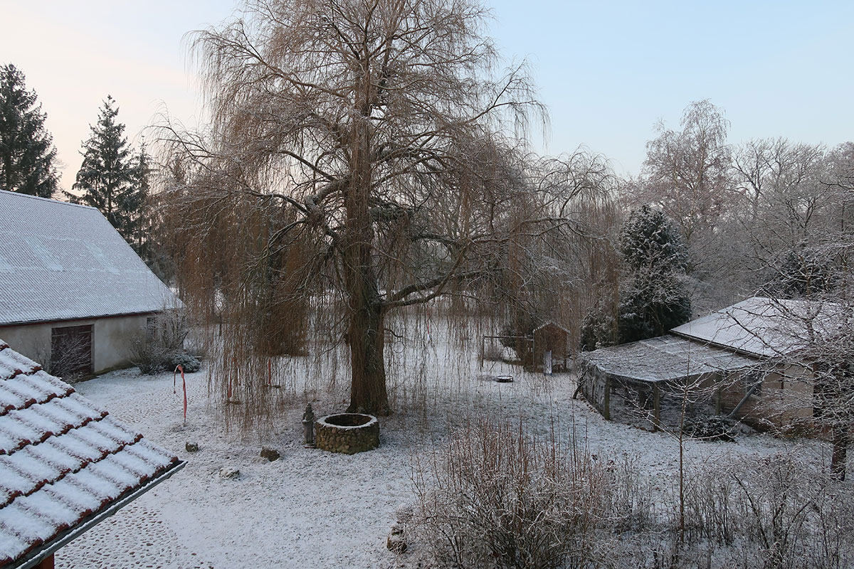 Hofblick