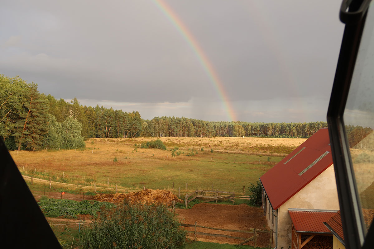 Weitblick