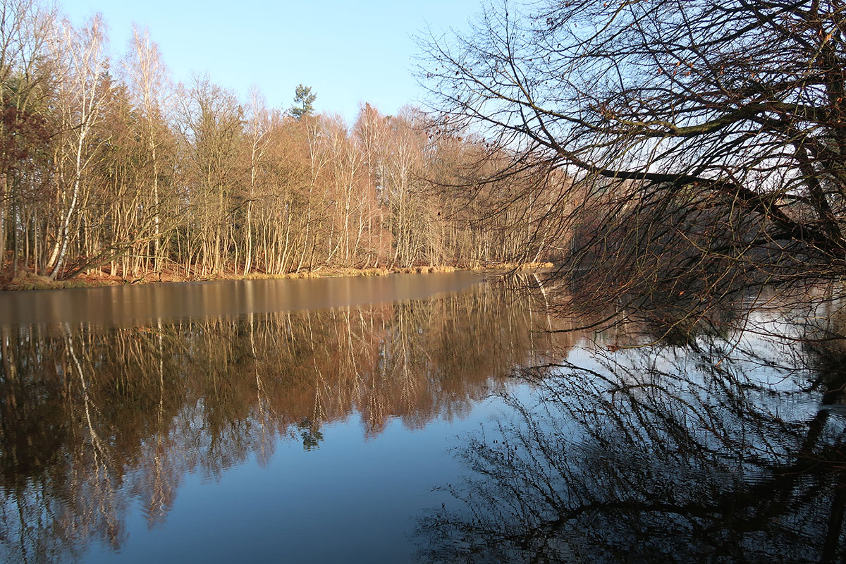 Haus am Waldsee