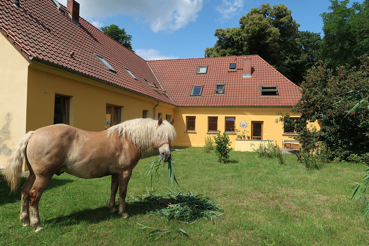 Der Garten